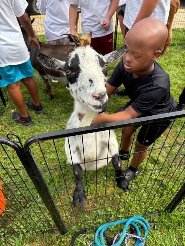 Camp 2026